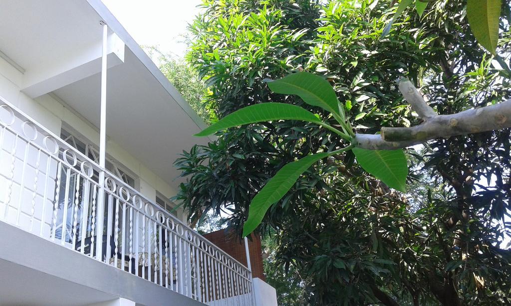 Villa Les Badamiers Flic-en-Flacq Exterior foto